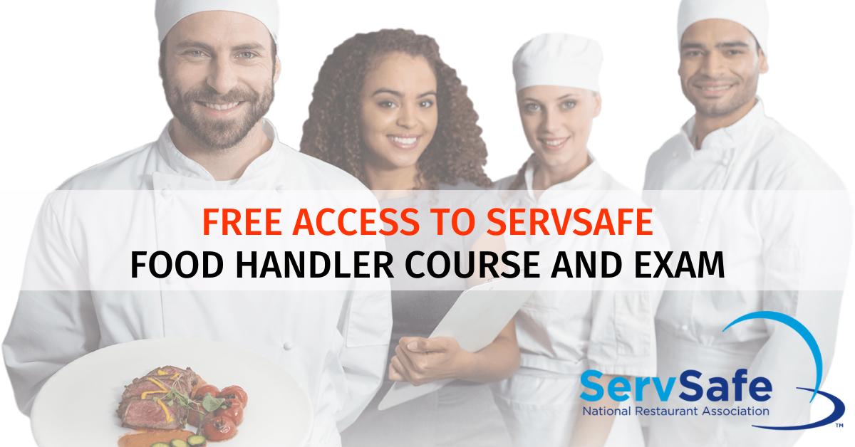 Blog Placement International